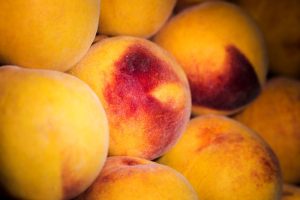 The critical need for sustained investment in agricultural research.