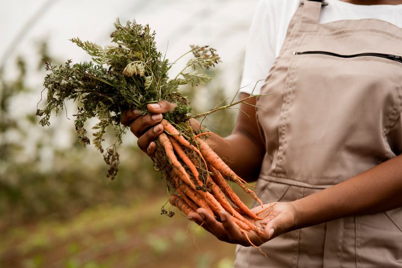 Each year, over 526 million tonnes of food are lost due to poor refrigeration.
