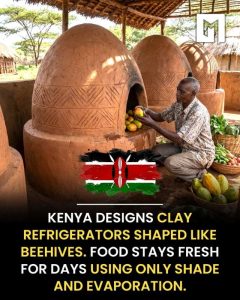 The Kenyan ‘beehive’ variant.