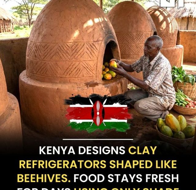 The Kenyan ‘beehive’ variant.