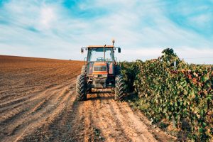 Energy efficiency emerged as a recurring theme, both in food waste reduction work and in cold chain operations. 
