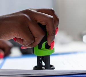 Porque nada diz “fronteira eficiente do futuro” como um comboio de caminhões frigoríficos parados ao sol enquanto um determinado funcionário em Moçambique coloca um único carimbo em serviço heroico.