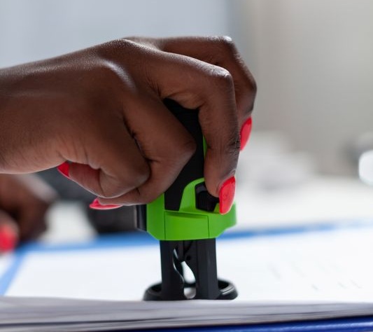 Porque nada diz “fronteira eficiente do futuro” como um comboio de caminhões frigoríficos parados ao sol enquanto um determinado funcionário em Moçambique coloca um único carimbo em serviço heroico.