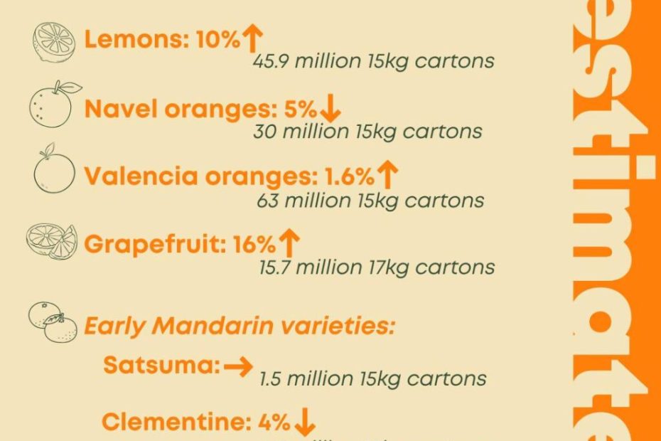For the cold chain sector, the Eastern Cape’s citrus industry is both a major opportunity and a growing stress test.