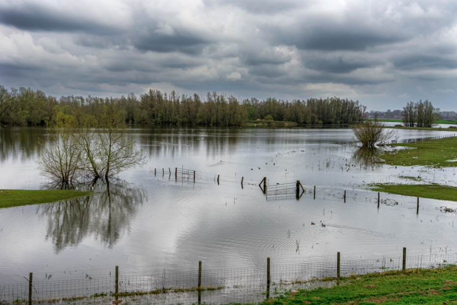 Early indications suggest that orchards have been flooded. Wirestock | Magnific